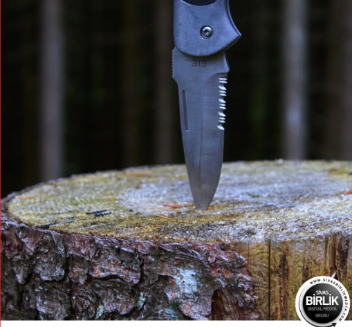 Ekran görüntüsü 2026-03-23 122549