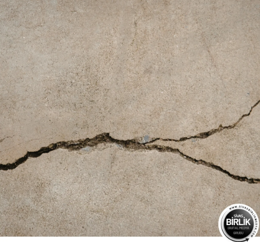 Ekran görüntüsü 2026-03-23 122644