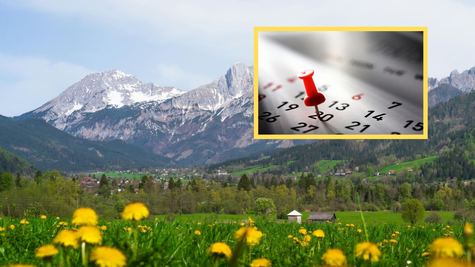 WhatsApp Image 2026-04-02 at 16.02.31