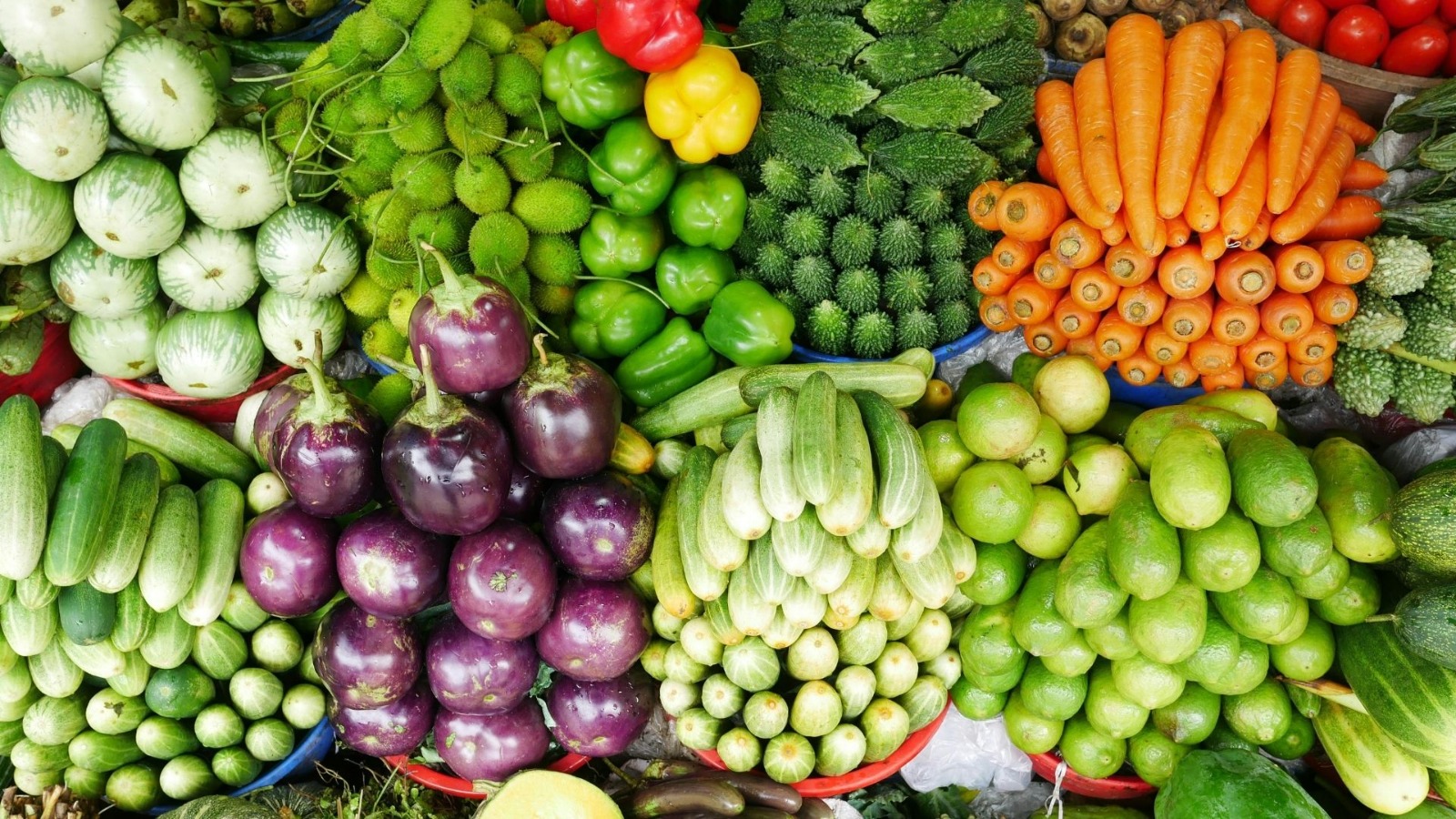 WhatsApp Image 2026-04-09 at 13.45.49