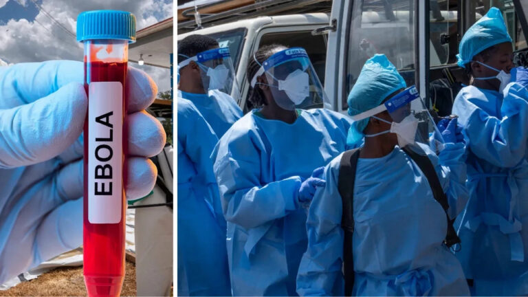 dsö ebola